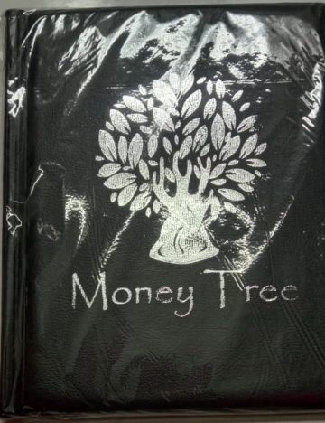 Coins Album Large Size 10 pages / 200 coins (cj)