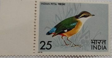 Indian Pitta. Bird, Indian Pitta, Pitta Brachyura, Passerine, 25 P.  (Hinged/Gum washed stamp)