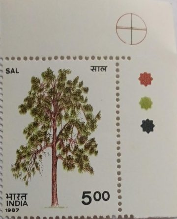 Indian Trees - Shorea robusta Roxb. Sal (Traffic Light Stamp)