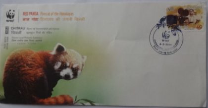 Red Panda (Special Cover) – Sams Shopping