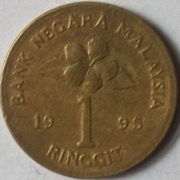1 Ringgit _1995 Bank Negara Malaysia (used)
