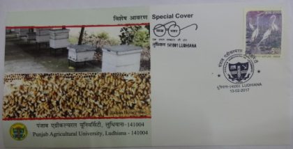 Punjab Agricultural University Ludhiana (Special Cover)