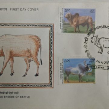 First Day Cover 25 Apr. '00 Indigenous Breeds of Cattle.(FDC-2000) (Spots/hinged/slightly damaged/Paper Stuck)