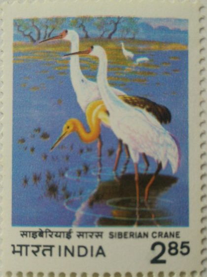 International crane workshop, Bharatpur (Hinged/Gum washed stamp)