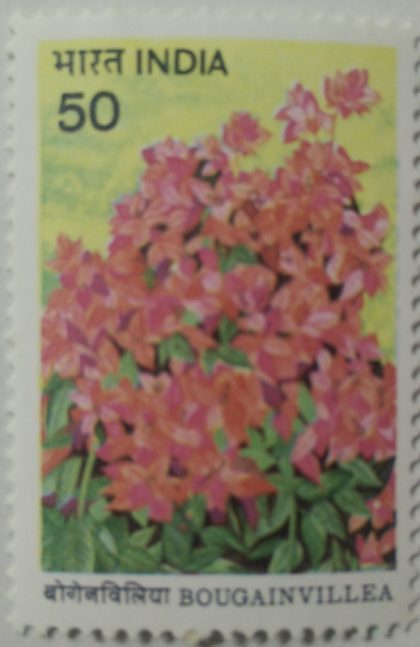 Bougainvillea - Mahara. Bougainvillea, Nyctaginaceae, Thorny Ornamental Vines, Horticulture 50 P. - MNH Stamp