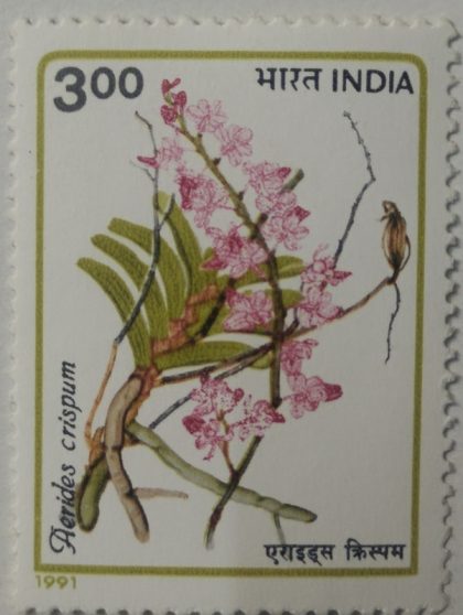 Orchids of India Orchid, Flowering Plant, Aerides crispum, Epiphytic Orchid - MNH Stamp