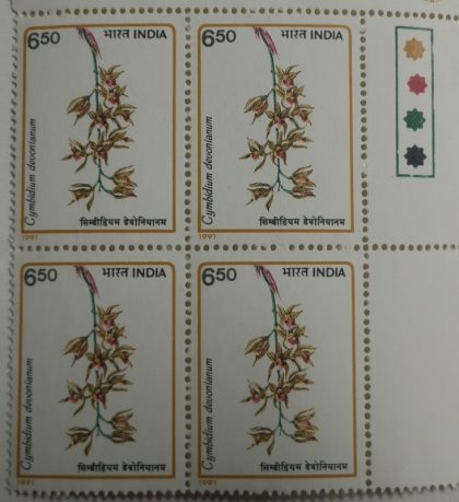 Orchids of India Orchid, Flowering Plant, Cymbidium devonianum, Boat Orchids (Block of 4 TL Stamp)