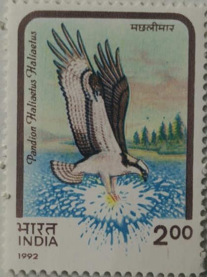 Birds of Prey. Osprey - MNH Stamp