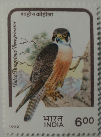 Birds of Prey. Peregrene Falcon - MNH Stamp