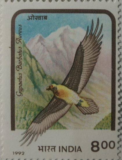 Birds of Prey. Lammergeier - MNH Stamp