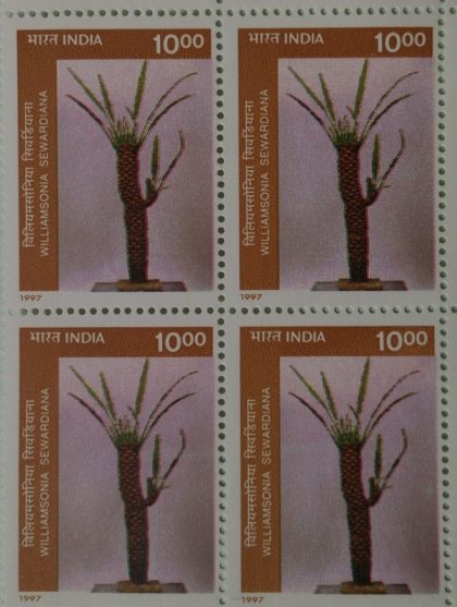 Birbal Sahni Institute of Paleobotany, Biibalsahnia, divyadarshanii(Block of 4 stamp)