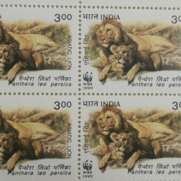 Lion and lioness (Block of 4 TL Stamp)