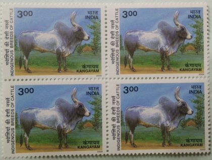 Indigenous Breeds of Cattle; Kangayam T.N (Block of 4 stamp)