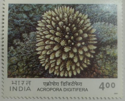 Corals of India ,Digitate Coral (Acropora digitifera) - MNH Stamp