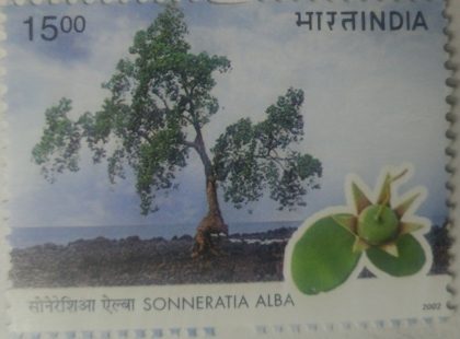 8th Session of the Conference of the parties to the United Nations Framework Convention on Climate Change, Sonneratia alba- MNH Stamp | Buy Indian Postage Stamps | Philately India