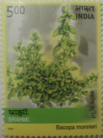Medicinal Plants of India,Brahmi (Hinged/Gum washed stamp)