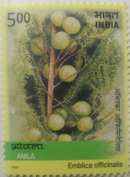 Medicinal Plants of India,Amla (Hinged/Gum washed stamp)