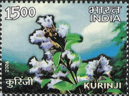 Kurunji. Thematic, Rs. 15 - MNH Stamp