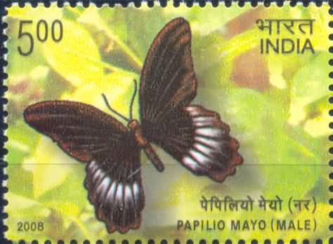 Epiindemic Butterglies of Andaman and Nicobar Island, Papilio mayo Male- MNH Stamp