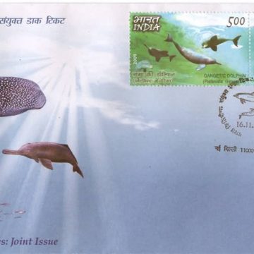 First Day Cover 16 Nov. '09 India-Phillippines Joint Issue, Butanding and Gangetic Dolphin.(FDC-2009)