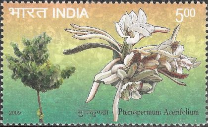 Pterospermum Acerifolium , Thematic , Rs 5 - MNH Stamp