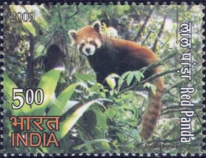 RED Panda Thematic Red Panda Rs. 5 - MNH Stamp