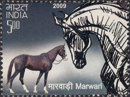 Indigenous Horses of India Thematic Marwari Rs. 5 - MNH Stamp