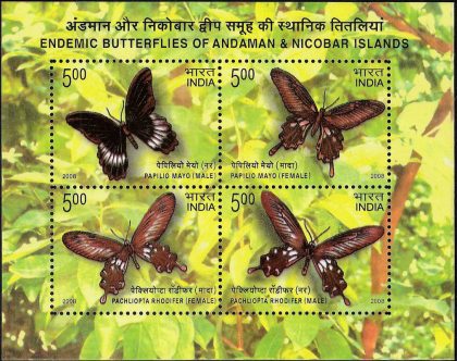 Endemic Butterflies of Andaman & Nicobar Islands - 2008 (Indian Miniature Sheets)