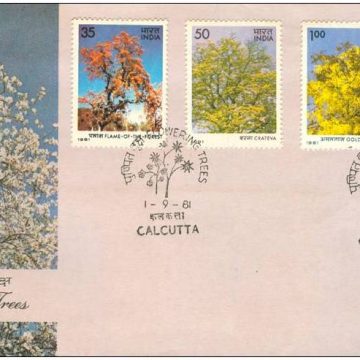 First Day Cover 01 Sep. '81 Indian Flowering Trees.(FDC-1981) (Spots/hinged/slightly damaged/Paper Stuck)