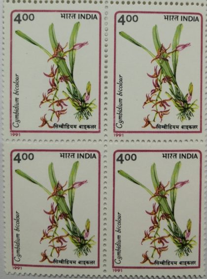 Orchids of India Orchid, Flowering Plant, Cymbidium Bicolour, Two-Colored Cymbidium (Block of 4 stamp)