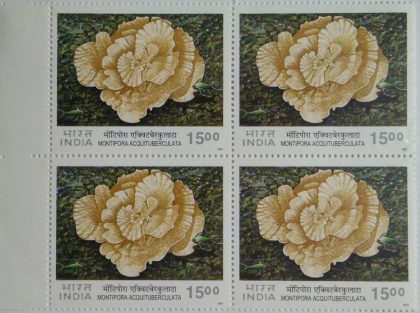 Corals of India ,Velvet Coral (Acropora Formosa) (Block of 4 stamp)