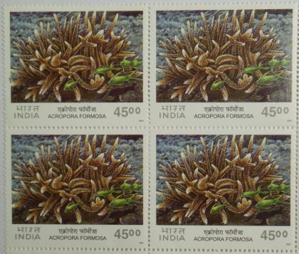 Corals of India ,Staghorn Coral (Acropora Formosa) (Block of 4 stamp) | Buy Indian Postage Stamps | Philately India