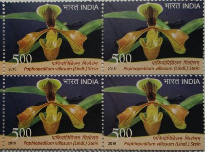 orchids of India ; Esmeralda Paphiopedilum villosum (Block of 4 stamp)
