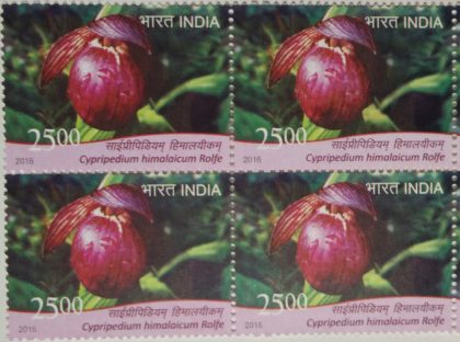 orchids of India ; Esmeralda Cypripedium himalaicum (Block of 4 stamp)