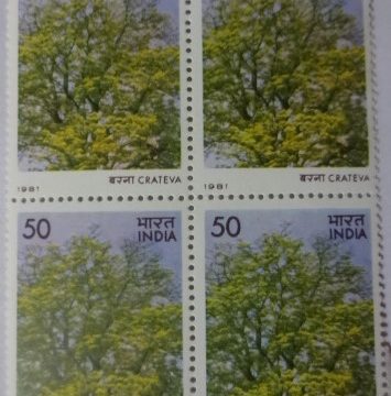 Flowering Trees - Crateva nurvala . Flower, Tree, Flame-of-The Forest, Spathodea campanulata, Fountain Tree, 35 P. (Block of 4 stamp)