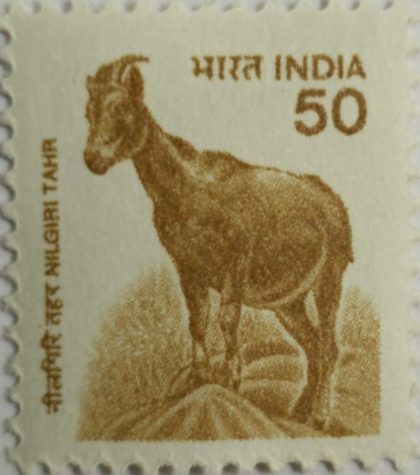 9th Series Nilgiri Tahr -50(Df)
