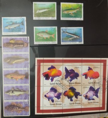 Fishes Used Stamps (16 Stamps)