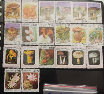Afghan MUSHROOM  20 Used stamps