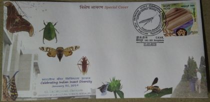 Celebrating Indian Insect Diversity (Special Cover)