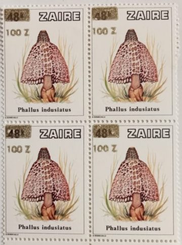 Zaire Phallus indusiatus - Block of 4