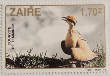 Zaire Courvite De Temminck