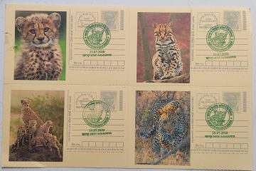 Biodiversity in Shivalik Hills of Saharanpur – Card 1 (Block of 4)