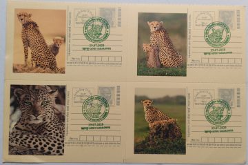 Biodiversity in Shivalik Hills of Saharanpur – Card 2 (Block of 4)