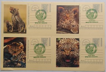 Biodiversity in Shivalik Hills of Saharanpur – Card 3 (Block of 4)