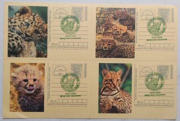 Biodiversity in Shivalik Hills of Saharanpur – Card 4 (Block of 4)