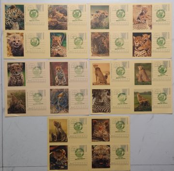 Biodiversity in Shivalik Hills of Saharanpur – Complete Set of 5 (Block of 4 Cards)