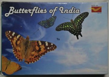 Butterflies of India Maxi Cards
