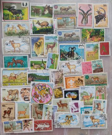 50 Deer Used Stamp s