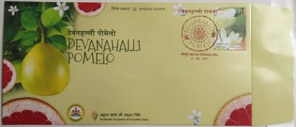 Devanahalli Pomelo (Special Cover)