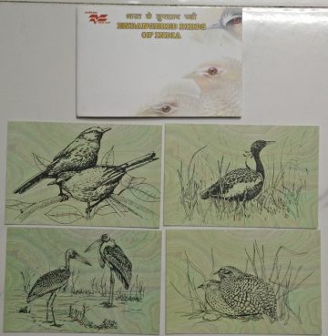 Endangered Birds of India Maxi Cards